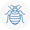 Bed Bug Extermination In Frinton