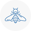 Bee Nest Removal Frinton
