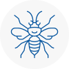 Frinton Hornet Nest Removals