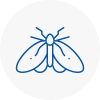Moth Control Specialists In Frinton