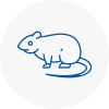 Rat Control Frinton