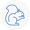 Frinton Rodent Removals
