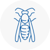 Frinton Wasp Nest Removal